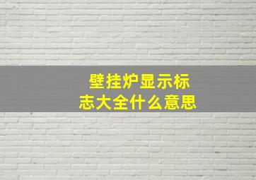 壁挂炉显示标志大全什么意思