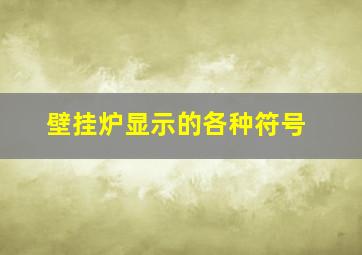 壁挂炉显示的各种符号