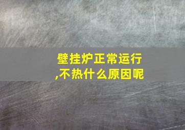 壁挂炉正常运行,不热什么原因呢