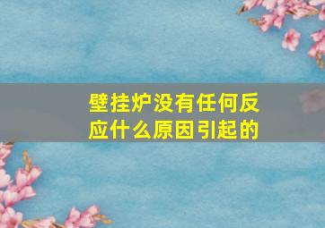 壁挂炉没有任何反应什么原因引起的