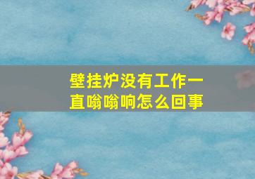 壁挂炉没有工作一直嗡嗡响怎么回事