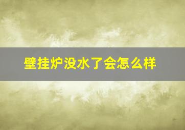 壁挂炉没水了会怎么样