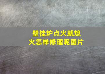 壁挂炉点火就熄火怎样修理呢图片