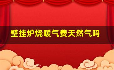 壁挂炉烧暖气费天然气吗