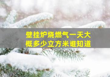 壁挂炉烧燃气一天大概多少立方米谁知道