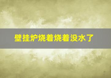 壁挂炉烧着烧着没水了