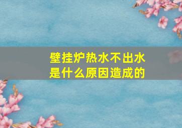 壁挂炉热水不出水是什么原因造成的