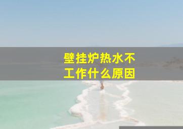 壁挂炉热水不工作什么原因