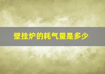 壁挂炉的耗气量是多少