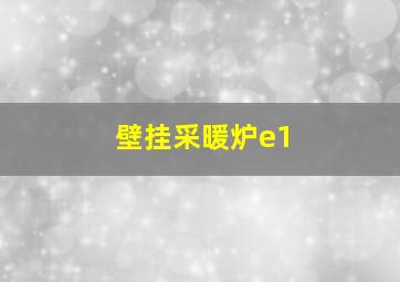 壁挂采暖炉e1