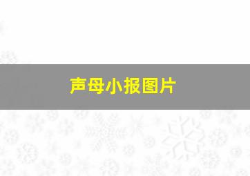 声母小报图片