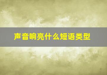 声音响亮什么短语类型