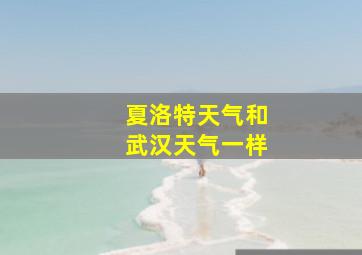 夏洛特天气和武汉天气一样