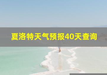 夏洛特天气预报40天查询