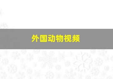 外国动物视频