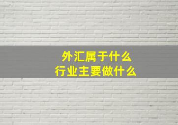 外汇属于什么行业主要做什么