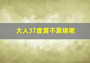 大人37度算不算烧呢