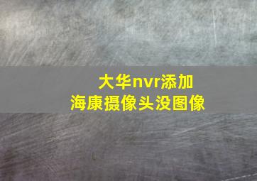 大华nvr添加海康摄像头没图像