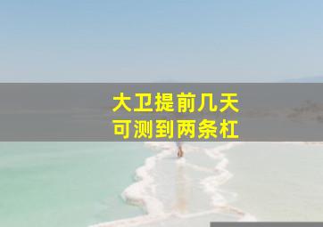 大卫提前几天可测到两条杠