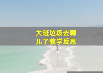 大班垃圾去哪儿了教学反思