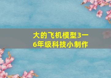 大的飞机模型3一6年级科技小制作