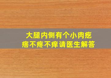 大腿内侧有个小肉疙瘩不疼不痒请医生解答