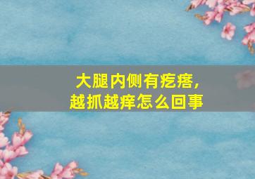 大腿内侧有疙瘩,越抓越痒怎么回事