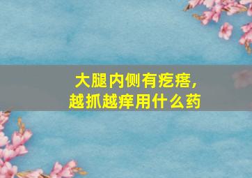 大腿内侧有疙瘩,越抓越痒用什么药