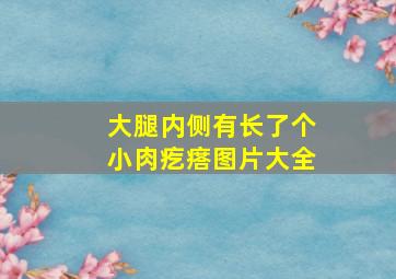 大腿内侧有长了个小肉疙瘩图片大全