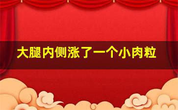 大腿内侧涨了一个小肉粒