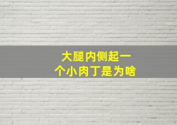 大腿内侧起一个小肉丁是为啥