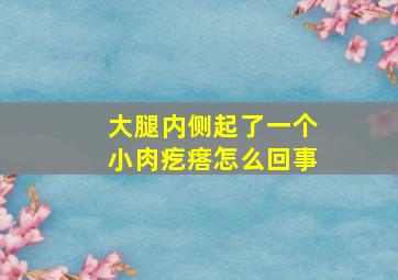 大腿内侧起了一个小肉疙瘩怎么回事