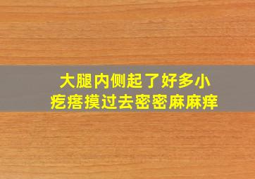 大腿内侧起了好多小疙瘩摸过去密密麻麻痒