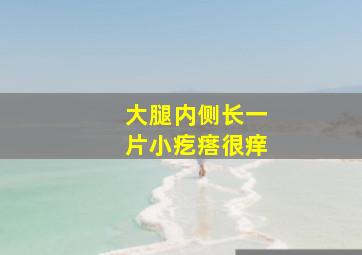 大腿内侧长一片小疙瘩很痒