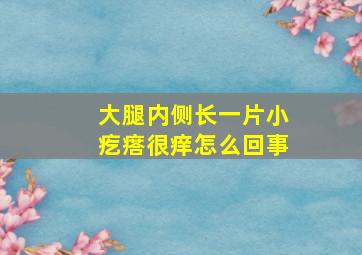 大腿内侧长一片小疙瘩很痒怎么回事