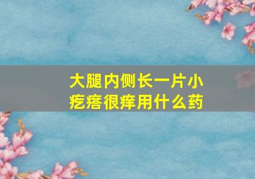 大腿内侧长一片小疙瘩很痒用什么药