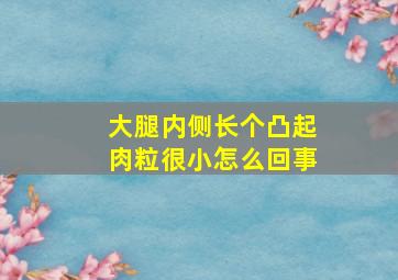 大腿内侧长个凸起肉粒很小怎么回事