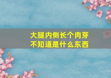 大腿内侧长个肉芽不知道是什么东西