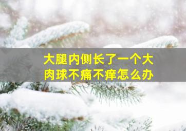 大腿内侧长了一个大肉球不痛不痒怎么办