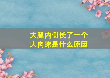 大腿内侧长了一个大肉球是什么原因