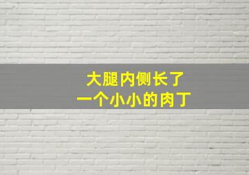 大腿内侧长了一个小小的肉丁