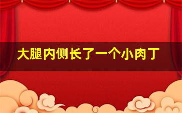 大腿内侧长了一个小肉丁