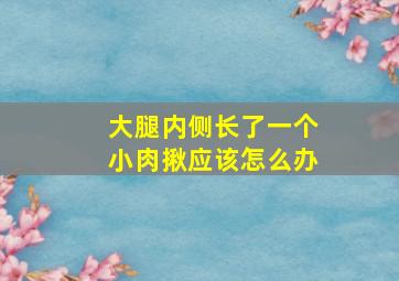 大腿内侧长了一个小肉揪应该怎么办