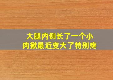 大腿内侧长了一个小肉揪最近变大了特别疼