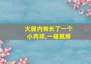 大腿内侧长了一个小肉球,一碰就疼