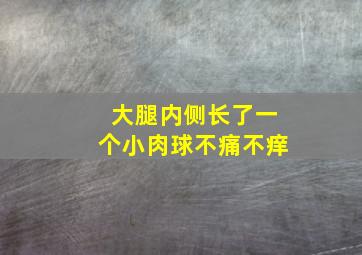 大腿内侧长了一个小肉球不痛不痒