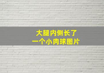 大腿内侧长了一个小肉球图片