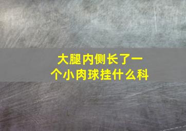 大腿内侧长了一个小肉球挂什么科