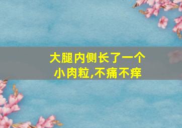 大腿内侧长了一个小肉粒,不痛不痒