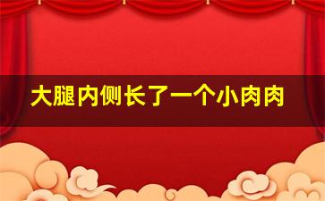 大腿内侧长了一个小肉肉